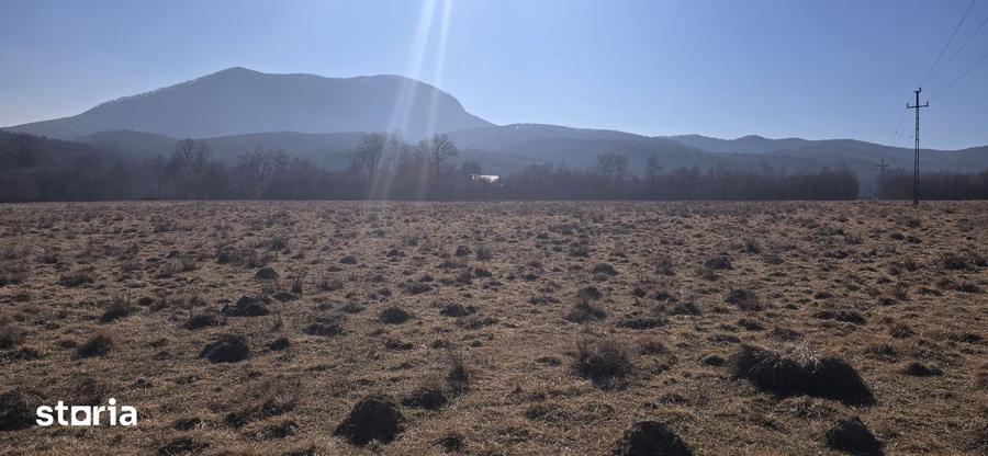 Teren de 7400 mp, în Codlea