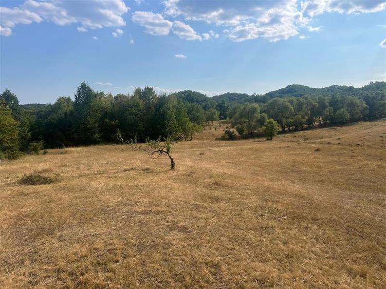 Teren agricol extravilan de 9059 mp, în Exterior Est