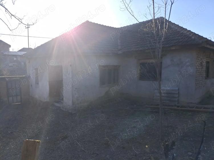 Casă cu 3 camere cu Teren 1400 Mp în Vintere