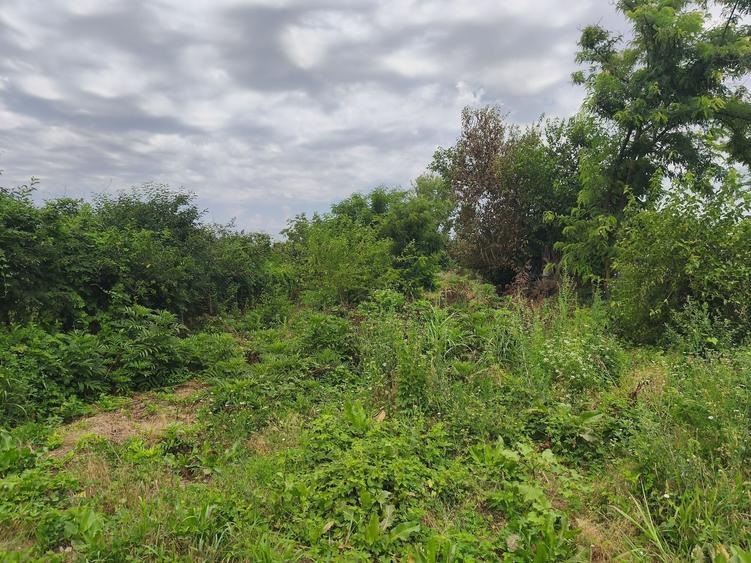 Teren intravilan de 1430 mp, în Izvoarele (Hotarele)
