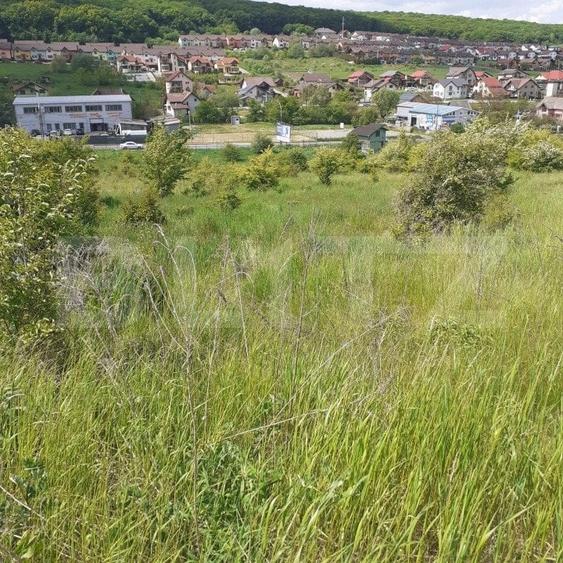Teren Construcții intravilan de 16700 mp, în Corunca