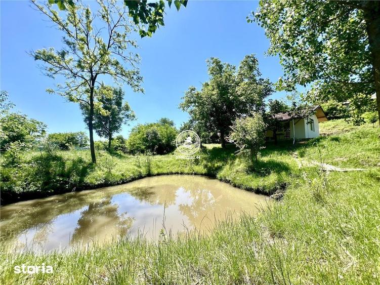 Casă cu 2 camere cu Teren 950 Mp în Probota