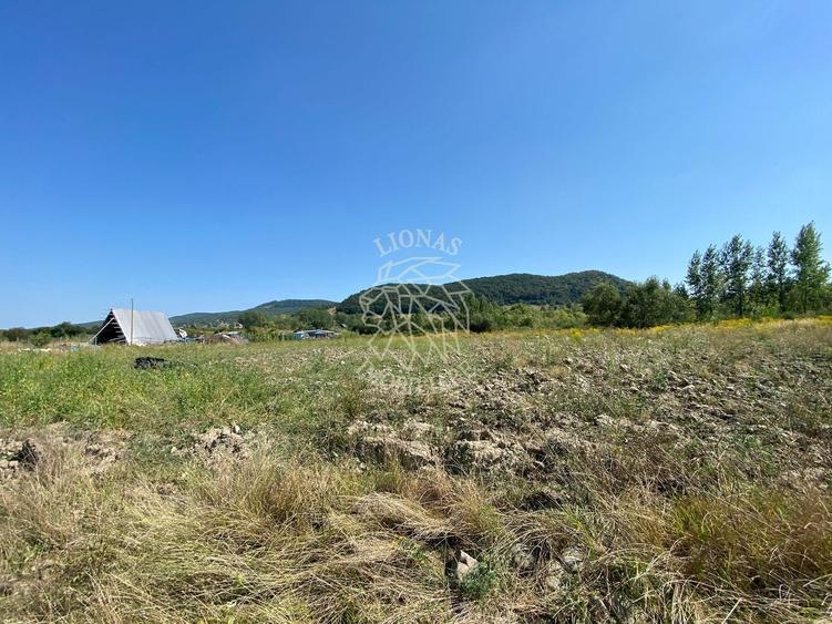 Teren agricol extravilan de 4100 mp, în Nord