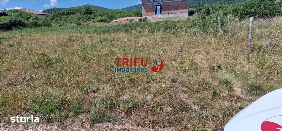 Teren de 510 mp, în Cetate