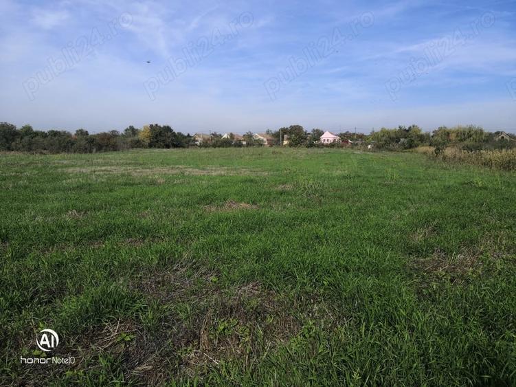 Teren de 13668 mp, în Dudeștii Vechi