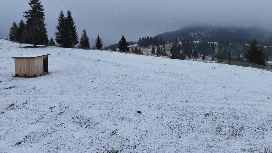 Teren de 25731 mp, în Breaza