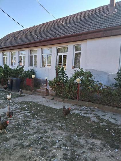 Casă cu 3 camere cu Teren 2220 Mp în Cebza