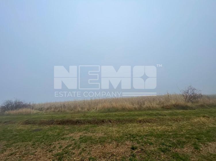 Teren agricol extravilan de 28400 mp, în Dărmănești