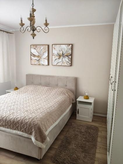 Apartament cu 2 camere decomandat, mobilat în Terezian