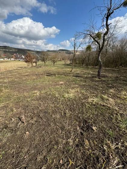 Teren de vanzare Sat Corusu, comuna Baciu 3484mp - 14