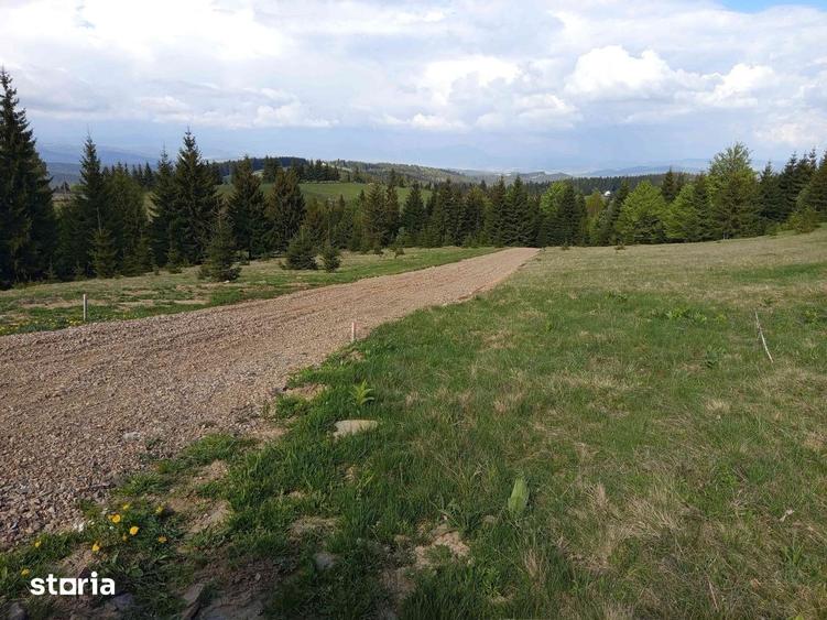Teren de 700 mp, în Tiha Bârgăului