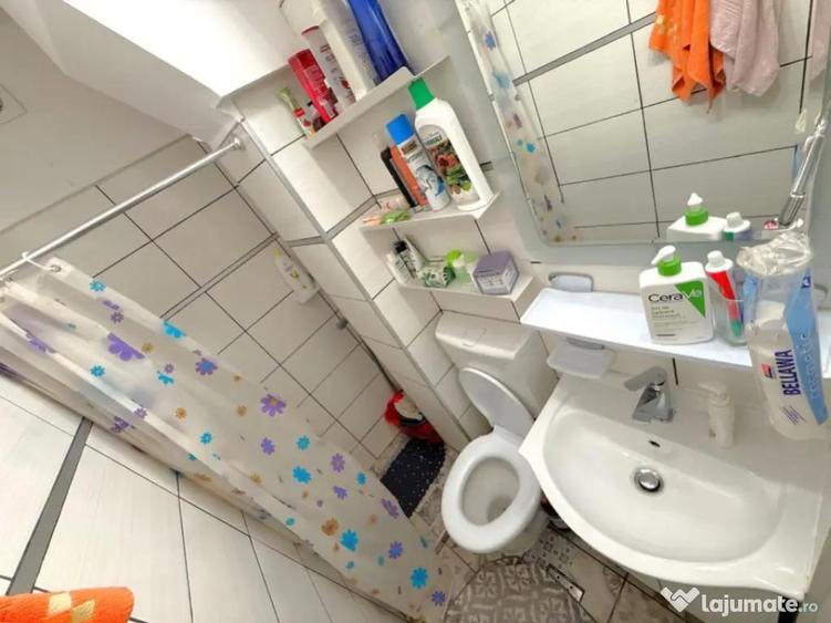Apartament cu 2 camere semidecomandat în Valea Rosie