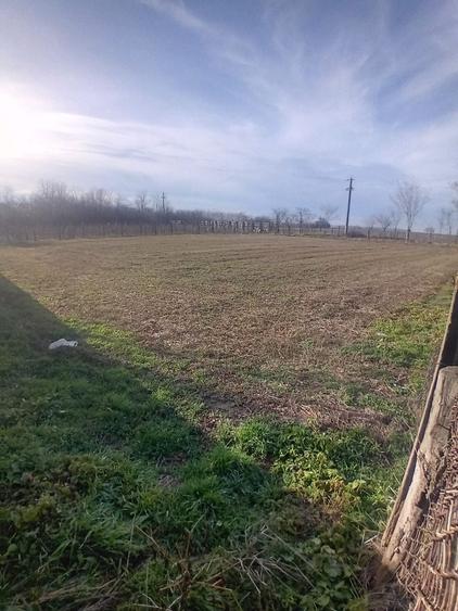 Teren de 1643 mp, în Răzoarele