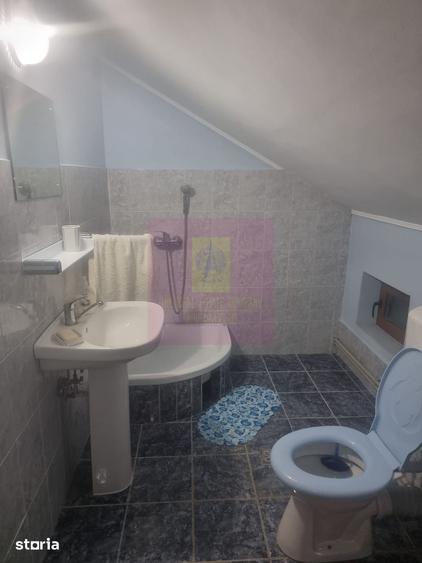 ILFOV - SE VINDE CASA IN ISLAZ / COM. BRANESTI - 3