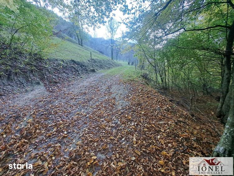 Casă cu 2 camere cu Teren 17399 Mp în Vințu de Jos