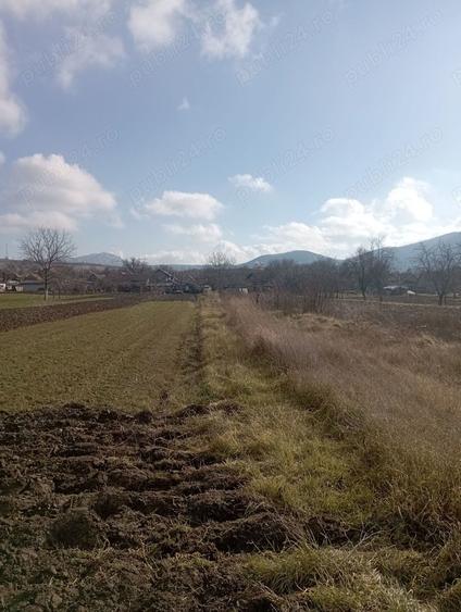 Teren de 2000 mp, în Brănișca