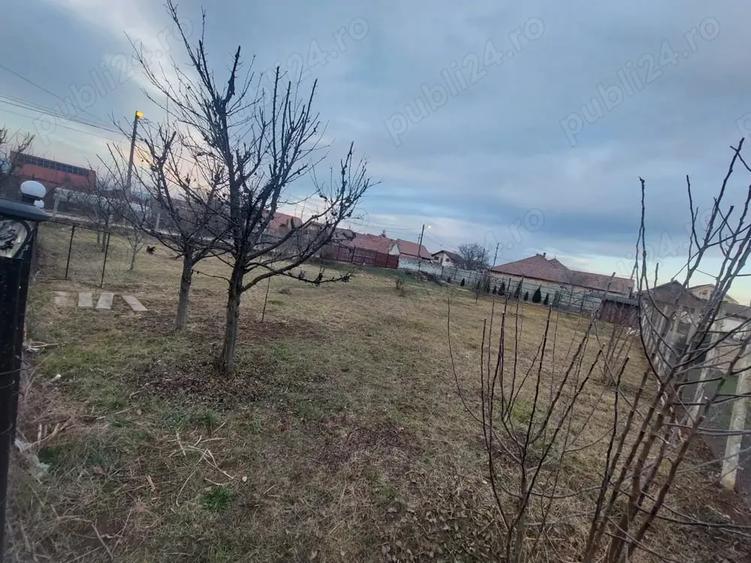 Proprietar vand teren intravilan, 458 mp Alba- Micesti - 4