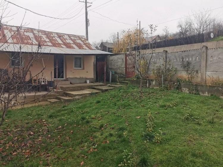 Casă cu 4 camere cu Teren 7000 Mp în Argetoaia