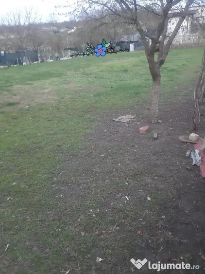 Teren de 1000 mp, în Lunca Cetățuii