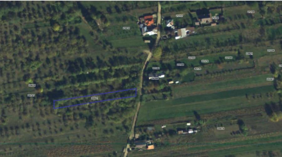 Teren agricol extravilan de 1000 mp, în Măneciu-Pământeni