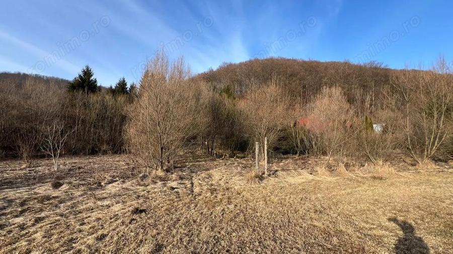 Teren de 1300 mp, în Câmpu Cetății