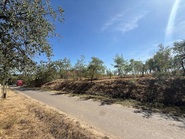 Teren de 1439 mp, în Viile Satu Mare