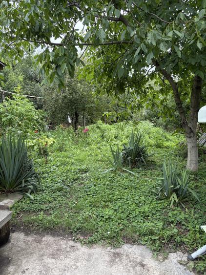 Casă individuală cu 3 camere cu Canalizare în Afumați