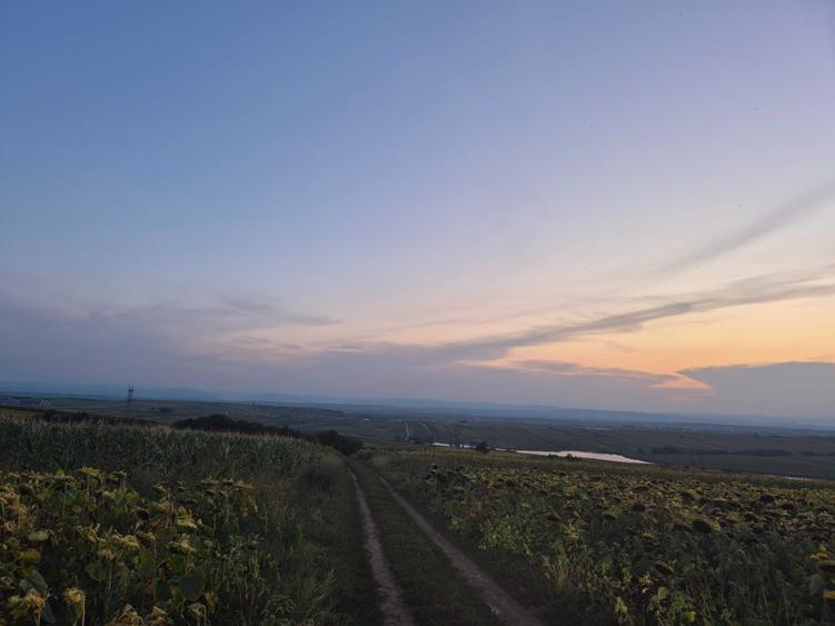 Teren de 3000 mp, în Bosanci