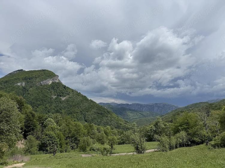 Teren de 10000 mp, în Prisacina