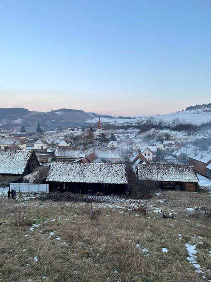 Casă cu 4 camere în Viișoara
