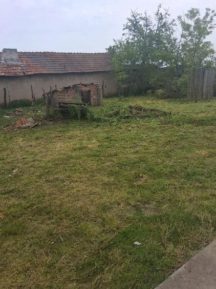 Teren de 70000 mp, în Dioști