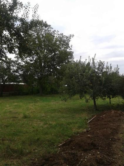 Teren intravilan, 1 Decembrie, Ilfov, zona Lidl - 1