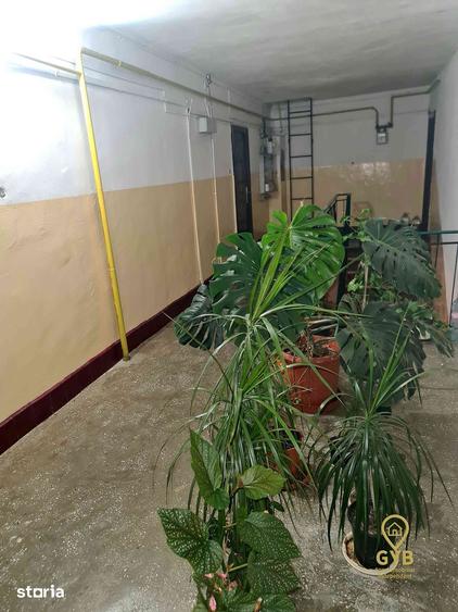 Apartament cu 4 camere, mobilat în Est