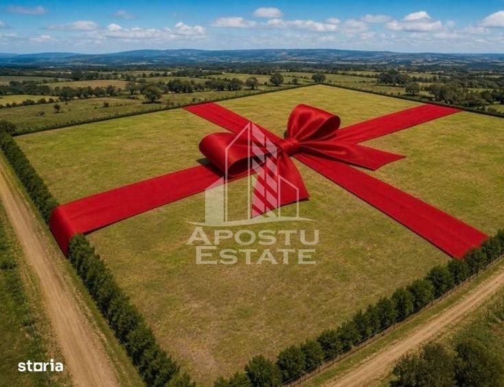 Spațiu comercial, în Ghiroda