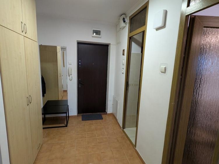 Muncii mieilor vatra luminoasa etaj 6 - 10