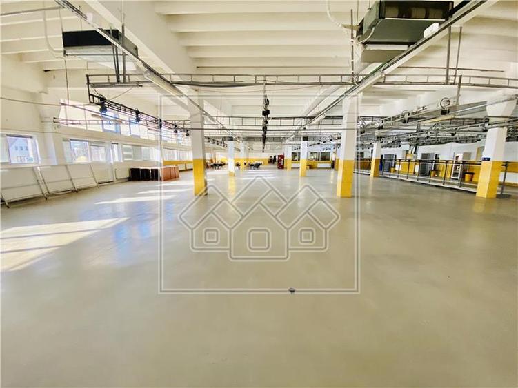 Spațiu industrial, de 1,200 mp, în Terezian