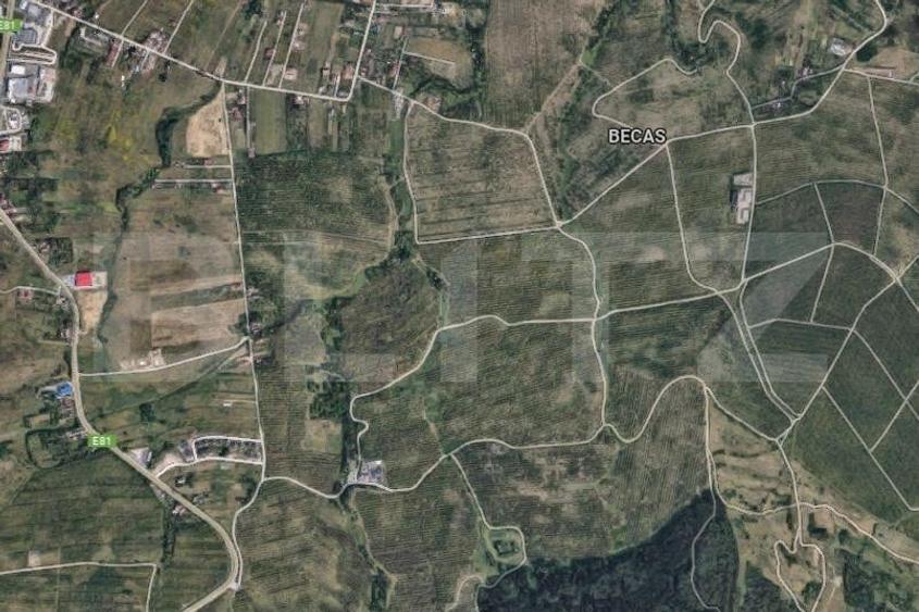 Teren Construcții intravilan de 2500 mp, în Becaș