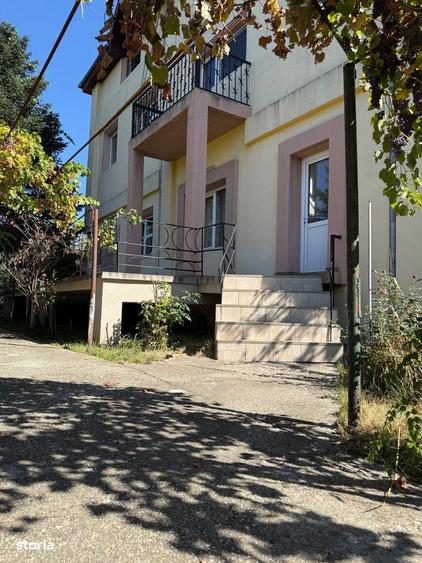 Oportunitate Business in Estul Capitalei Teodor Pallady,Metrou Saligny - 12
