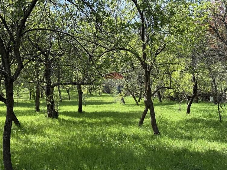 Casă individuală cu 5 camere cu Teren 3056 Mp în Exterior Sud