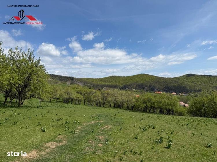 Spațiu comercial, în Valea Vințului
