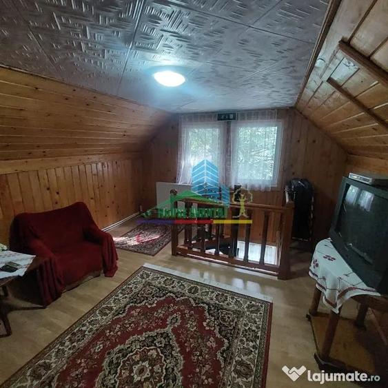 Spațiu comercial, de 450 mp, în Lepșa