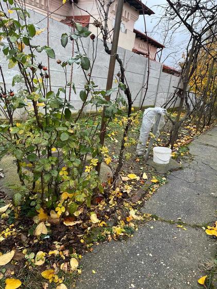Casă cu 2 camere în Crângași