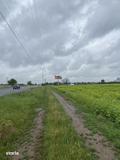 Teren de 10000 mp, în Păulești