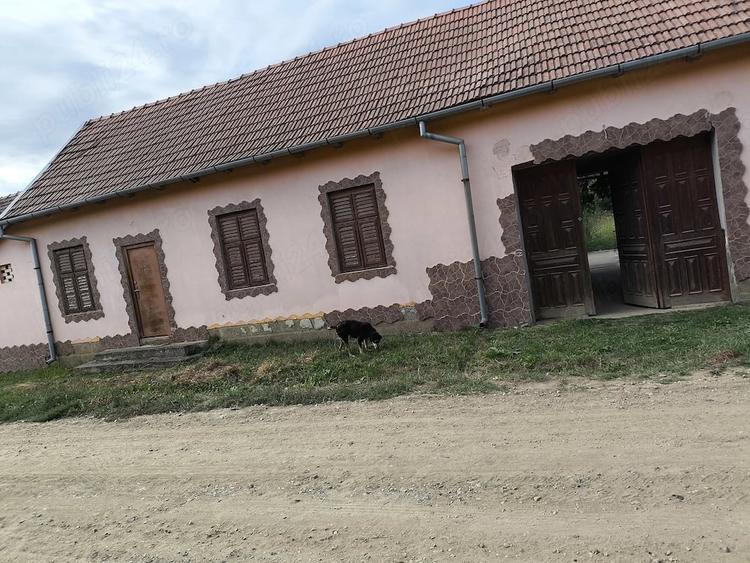 Casă cu Teren 1600 Mp în Secășeni
