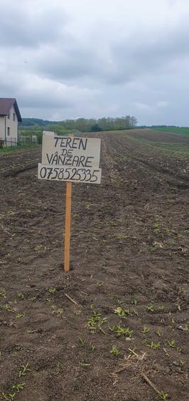 Teren de 5000 mp, în Valea