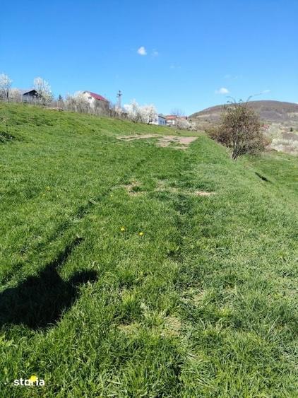 Teren de 3032 mp, în Ciurila