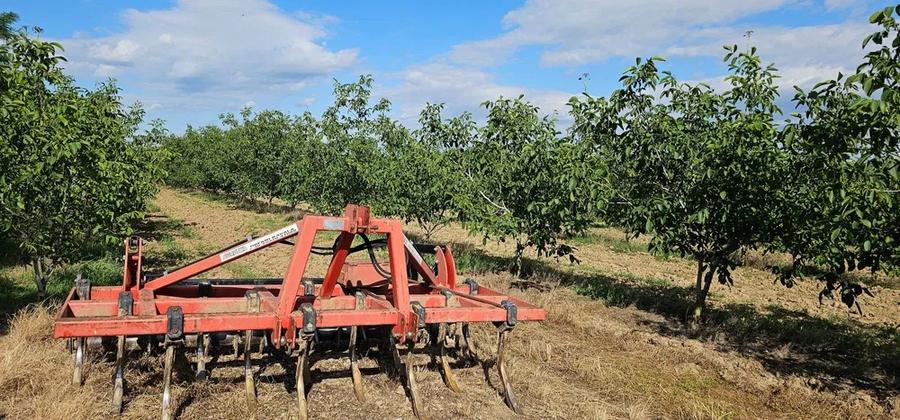 Teren agricol extravilan de 140000 mp, în Bucov