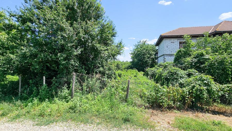 Teren Construcții intravilan de 3200 mp, în Bolintin-Vale