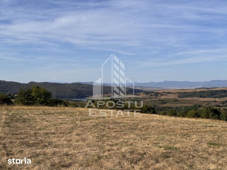 Teren de 50000 mp, în Teliucu Inferior