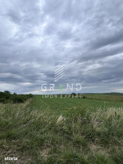 Teren intravilan 5.700 mp | Copaceni, Cluj | DN1 | - 2